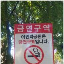 양지게이트볼장 네이버블로그
