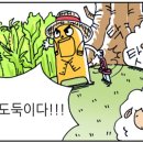 신호목장 이미지