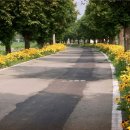 주월리한배미마을 이미지