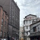 퍼센트 스튜디오 | 2025 상하이 기행기 -번외편-/상해 웨딩스냅촬영 준 스튜디오 스냅용 꽃다발 부케 동방명주