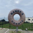 씨유제주금악점 | 10월의 제주:: 랜디스도넛(실패,,),애월솔트,금오름,소길역,애월마틸다/나혼자제주여행