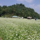 중동 1261 이미지