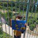 장목초등학교 병설유치원 이미지