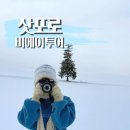 [일본/삿포로] 비에이투어❄️ 라쿠투어 내돈내산 후기! 준페이 도시락 후기, 12월 비에이투어