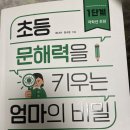 봉봉STEAM 이미지