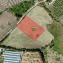 상예동-5 이미지