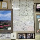 매일회관 | 성산) 제주도 말고기 전문점, 성산일출봉 말고기, 섭지코지 근처 맛집 / 제주섭지회관&amp;마돈