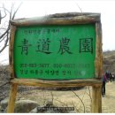 청도농원 이미지