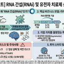 (주)바이오노트 | [기초투자노트]바이오주 투자 2순위:RNA 치료제로 유전자 지도를 바꿀 혁신 벤처