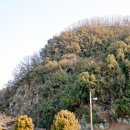 도동주민센터 이미지