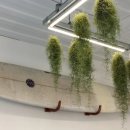 주제하우스 이미지