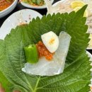 청정회바다나라 이미지