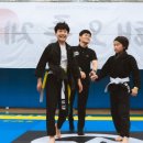 트라이스톤주짓수 네이버블로그