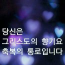 샬롬 이미지
