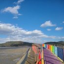 무지개다리 이미지