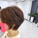 준헤어랭귀지 네이버블로그