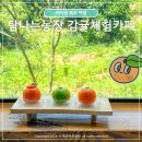 제주댁 농장 | 제주 쿠킹 클래스 아이랑 탐나는농장 감귤체험카페 귤모양 화과자만들기