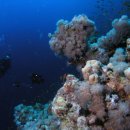 블루홀(BLUE HOLE) 이미지