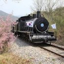 전남 곡성 가볼만한곳 - 곡성 기차마을 장미꽃축제와 함께한 곡성 여행 이미지