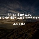 [희망 명언] 하루를 어떻게 보낼 것인가?(소포클레스) 이미지