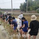 부안남초교 이미지