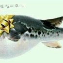 복받으세요 Daum카페