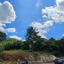 산속의친구 이미지