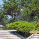 대한민국특수임무유공자회 티스토리