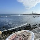 아재 수산 이미지