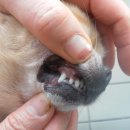 패밀리 덴탈 이미지