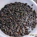 성심회관 이미지