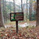 비슬산둘레길 7구간 이미지