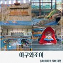 130 | [경기도/남양주]남양주 아쿠와조이 후기/서울근교아이랑 가기 좋은 실내 워터파크 추천/주차/입장요금