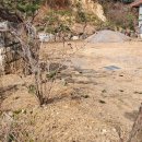 설악IC공인중개사사무소 | 가평부동산 설악IC 가까운 가평홍천땅N 공인중개사에 믿음을 더하다
