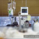 헬리오동물병원 이미지