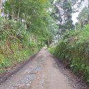 코코농장 2 이미지