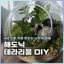 힐링우드(주)(3종) | 이끼테라리움 해도닉 DIY 키트 집에서 꾸미기 좋았던 후기