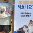 메디벳 주식회사 이미지