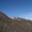 가지산 첫눈(2011.12.04) 이미지