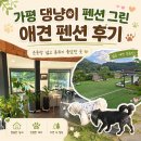 댕댕이애견 | 가평 댕댕이 그린 애견펜션 후기｜포메1·포메2 가족여행