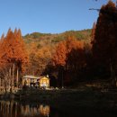 충청남도 논산시 온빛자연휴양림 방문 후기