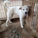 자룡농장 이미지