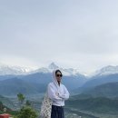 히말라얀 네팔 코리아 투어 | [네팔2주] 포카라/ 드디어 히말라야 사냥 성공 (day10)
