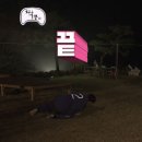 메이디산부인과의원 | 실손보험빠른청구제휴 산부인과진료 실비청구한 후기와 장점단점