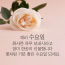 10월 16일 수요일 미래 정 대문을 활짝 열어봅니다 이미지