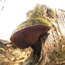 고산예쁜집 이미지