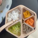 덕분이야모든개 | 이유식 식판 몇개 흡착식판 타이니트윙클 감성 이유식기 추천