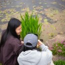 행복플라워 이미지