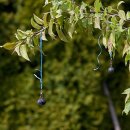 초당에너지 이미지