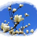 정다운집 이미지